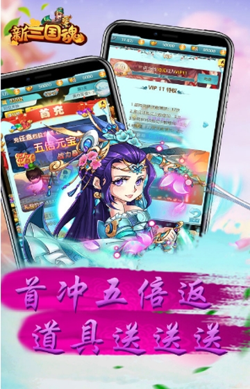 新三国魂星耀版