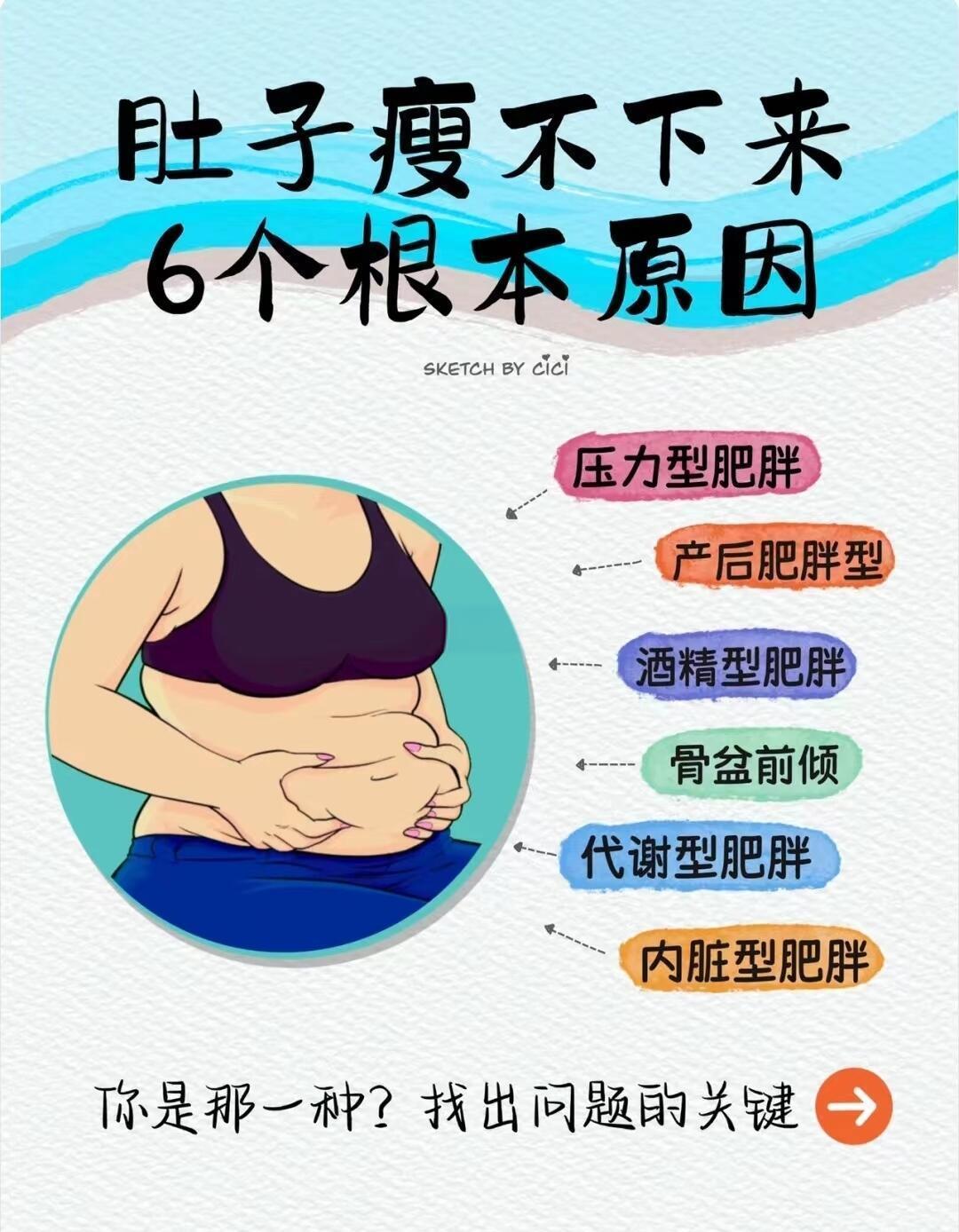 汉堡肚小腹赘肉形成原因科普
