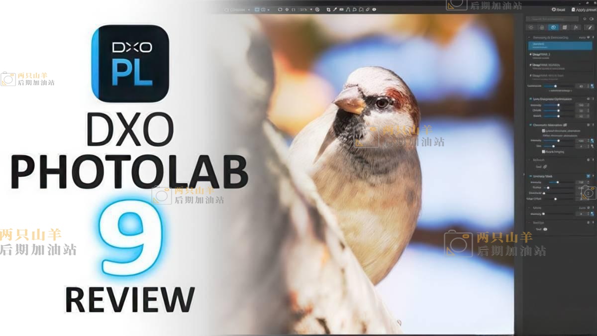 DxO Photo-Lab 7.9.0汉化正式版下载渠道对比