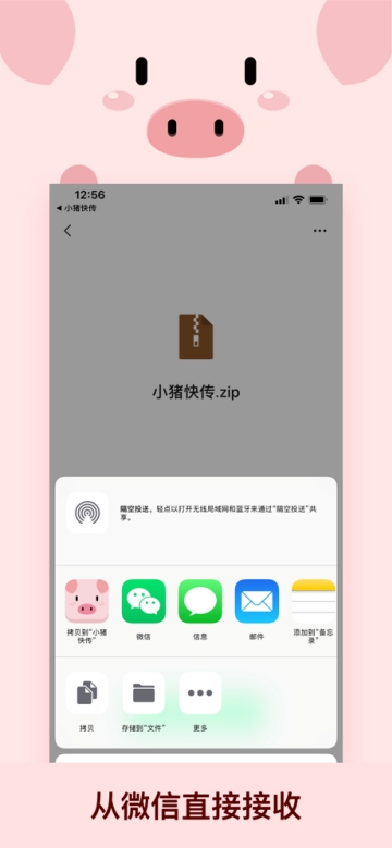 小猪快传 小猪快传