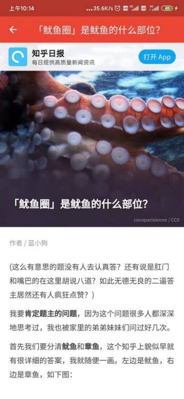 每日头条app 每日头条app