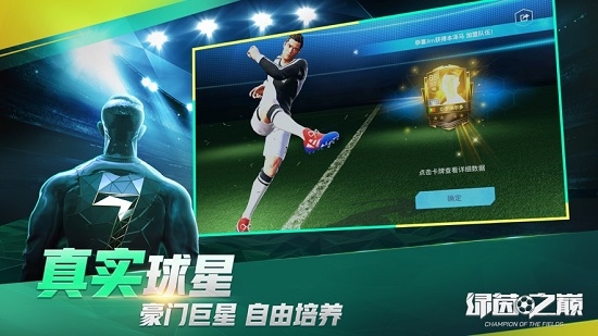 绿茵之巅IOS版 绿茵之巅IOS版