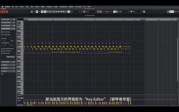 Cubase Pro 11中文完整版运行截图