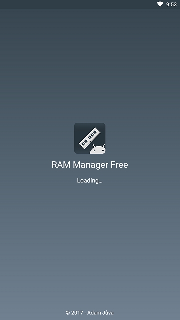 RAM Manager RAM Manager