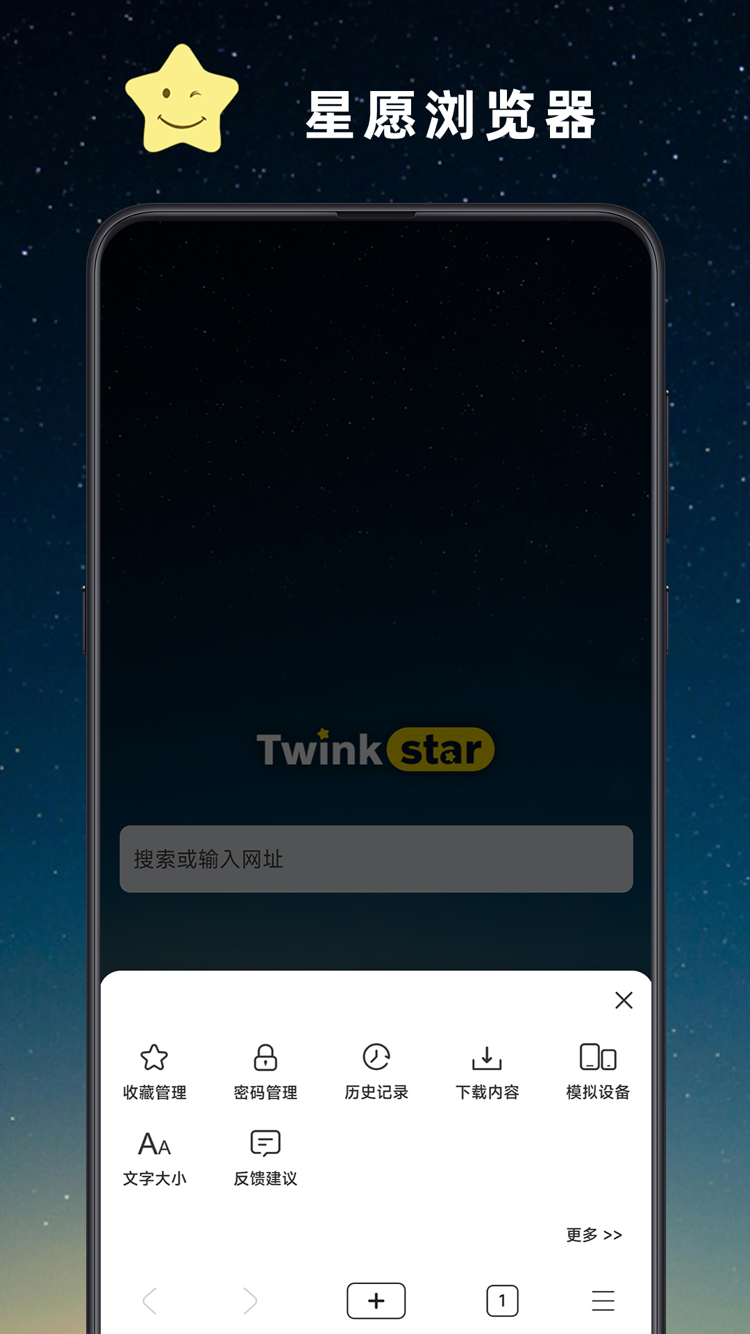 星愿浏览器(Twinkstar)便携版 2026官方下载绿色版