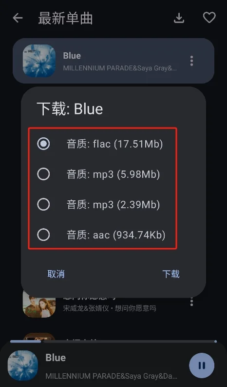 预览图