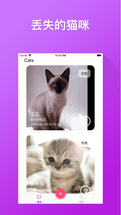 寻找猫咪之路 寻找猫咪之路