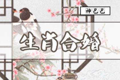 属相生肖配对姻缘查询