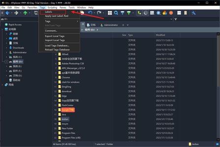 XYplorer下载运行截图
