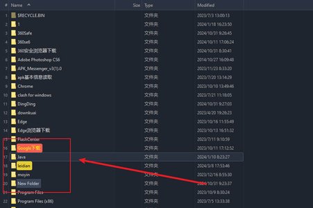 XYplorer下载运行截图