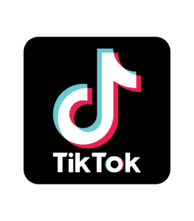 抖音美国版TikTo.k官方正版图标界面