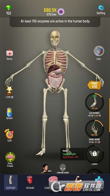 人体模型 人体模型