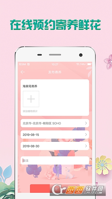 掌上花 掌上花