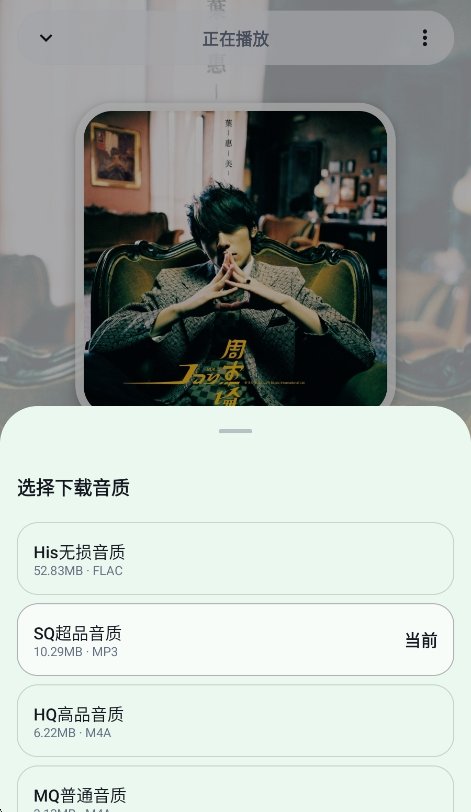 预览图