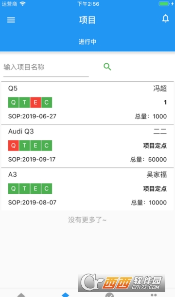 平迅项目管理系统 平迅项目管理系统