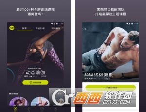 Wondercise(健身软件)