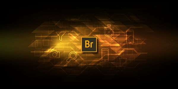 Adobe Bridge CC 2020 Adobe Bridge CC 2020
