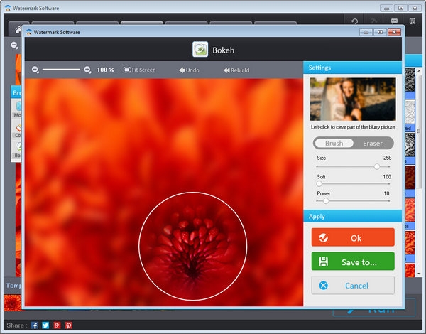 Watermark Software破解版