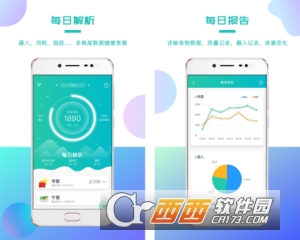 我的卡路里
