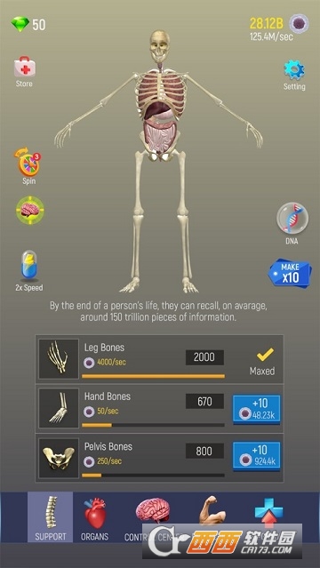 Idle Human Idle Human