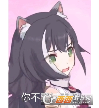 公主连接黑猫臭鼬表情包