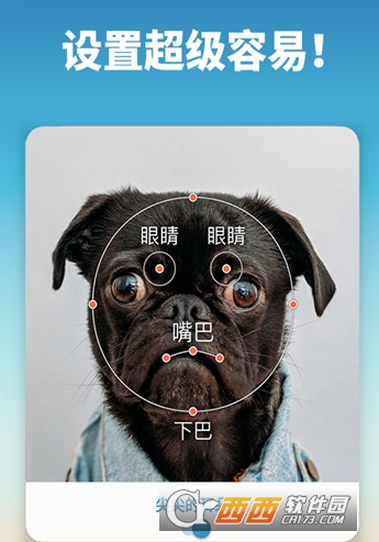 我的宠物会说话"/