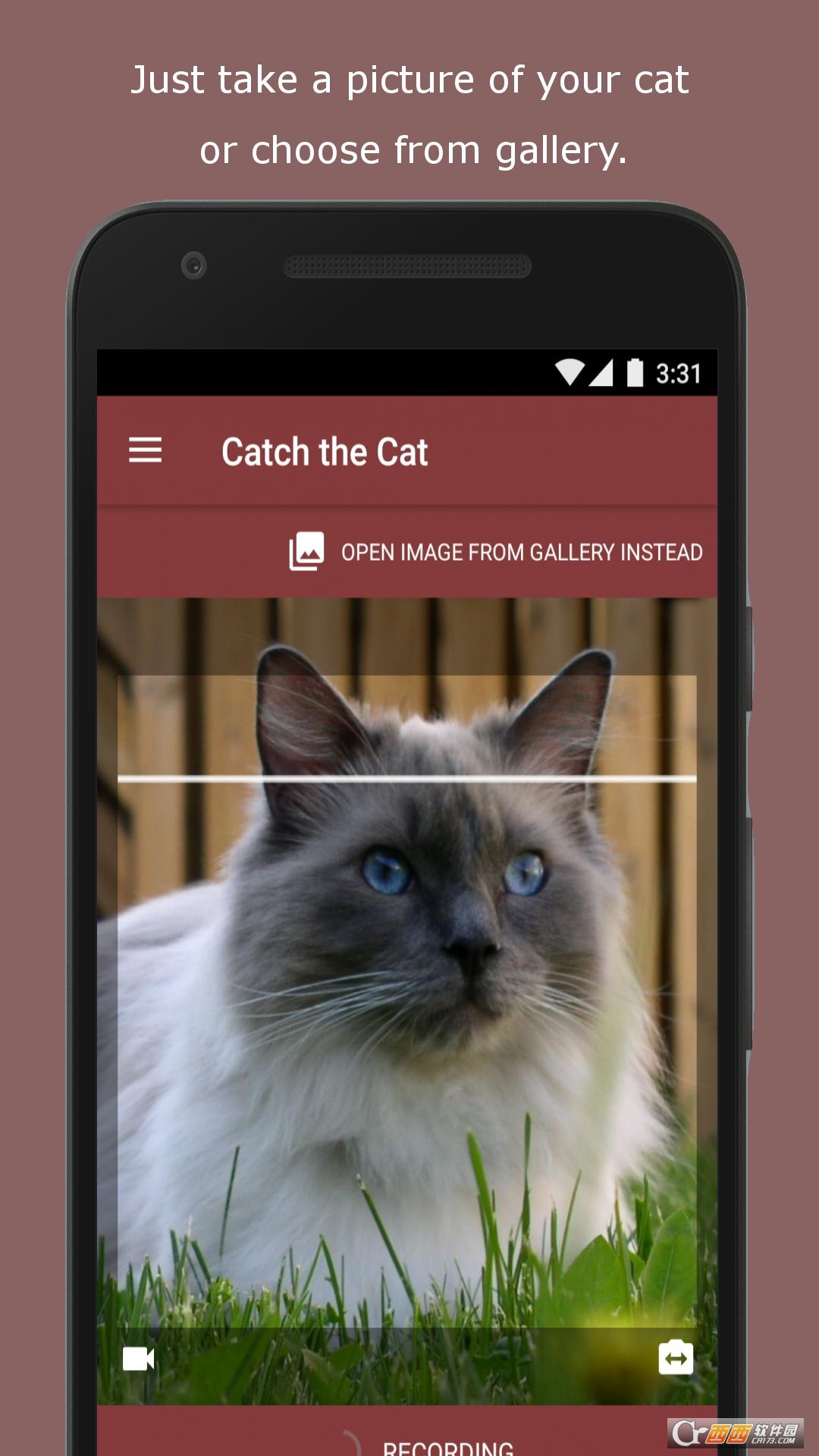è�������(Cat Scanner)