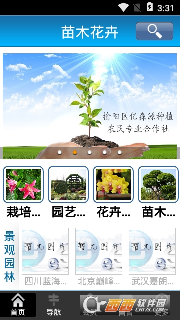苗木花卉 苗木花卉