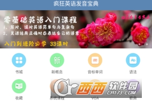 疯狂英语发音宝典