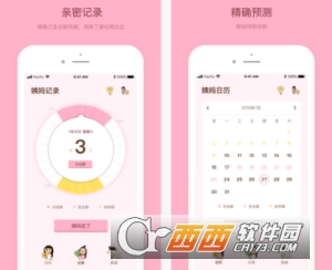 Honey经期助手app