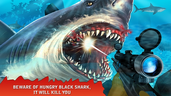 鲨鱼猎杀者Shark Hunting 鲨鱼猎杀者Shark Hunting