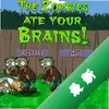 �������������zombie rushͼ��