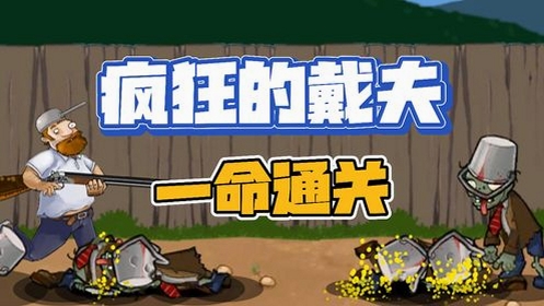 预览图