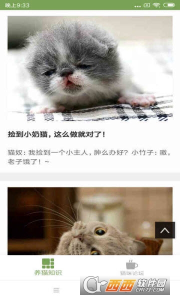 猫咪生活圈