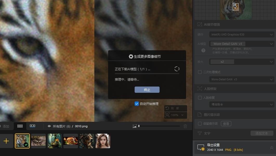 Aiarty Image Enhancer 3.5汉化激活版运行截图