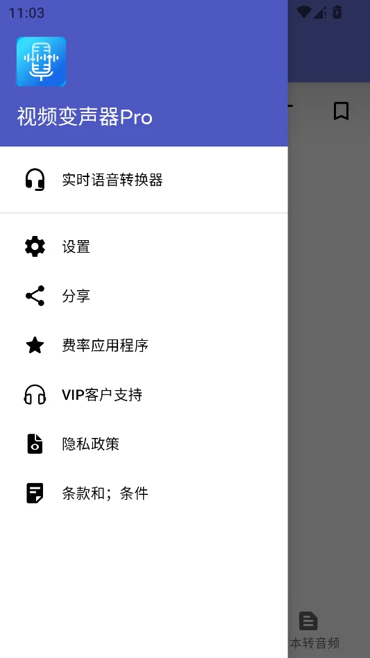 视频变声器Pro运行截图
