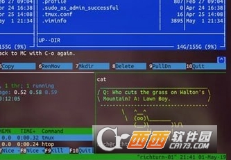 Windows Terminal�������ն˹���