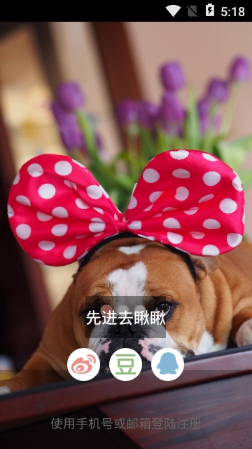 爱宠乐园天地 爱宠乐园天地