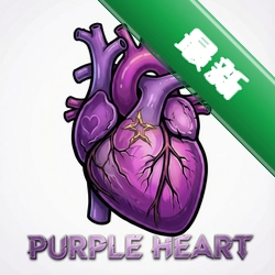 紫色的心脏Purple Heart1.0.0电脑版