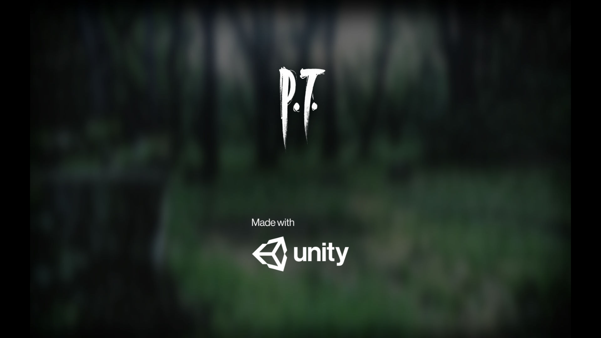 P.T.运行截图