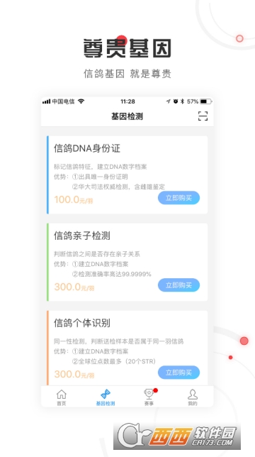 尊贵赛鸽 尊贵赛鸽
