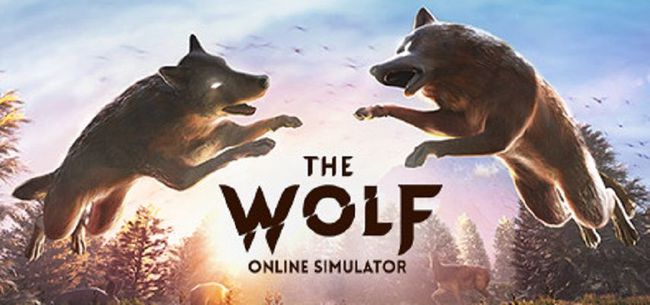 狼男孩The Boy Who Typed Wolf运行截图