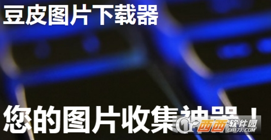 豆皮图片下载器(批量图片下载神器) 豆皮图片下载器(批量图片下载神器)