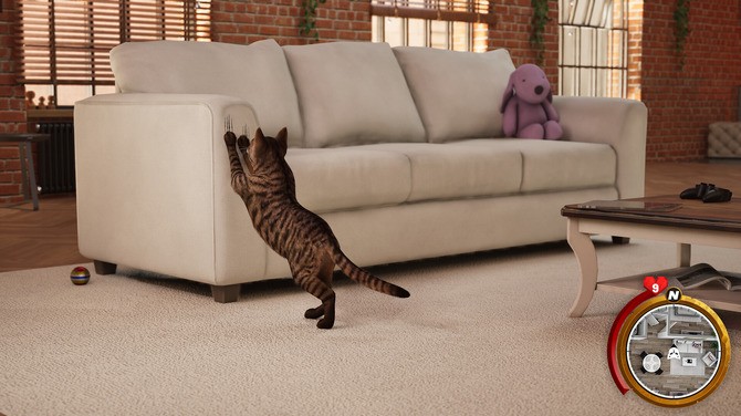 小猫生活模拟器 小猫生活模拟器