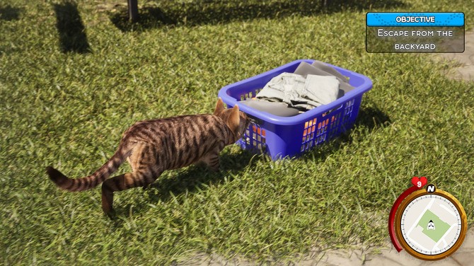 小猫生活模拟器运行截图