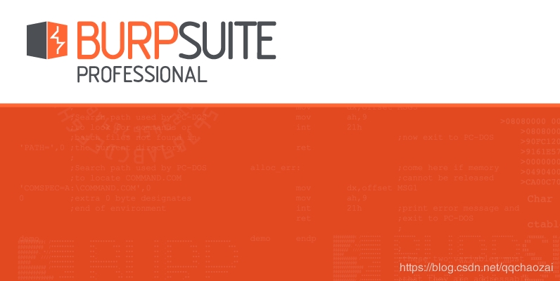 burp suite professional汉化破解版
