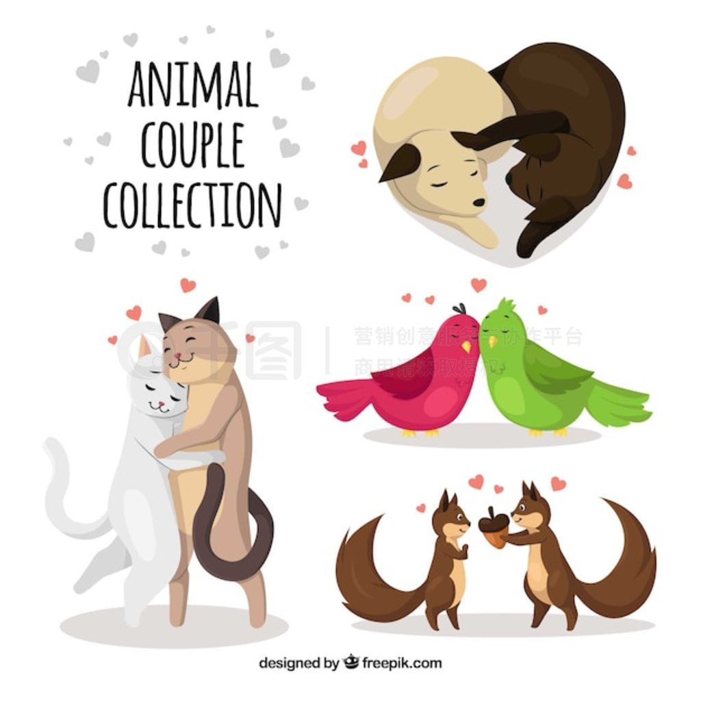 动物情人Animal Lover运行截图