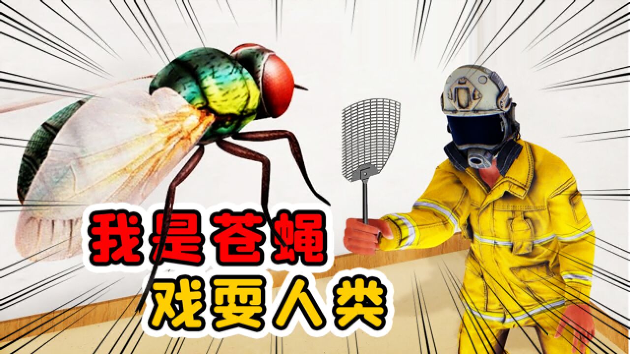 苍蝇模拟器Fly Simulator运行截图