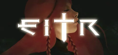 EITR运行截图