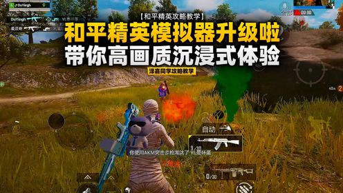吃鸡模拟器游戏联机版运行截图